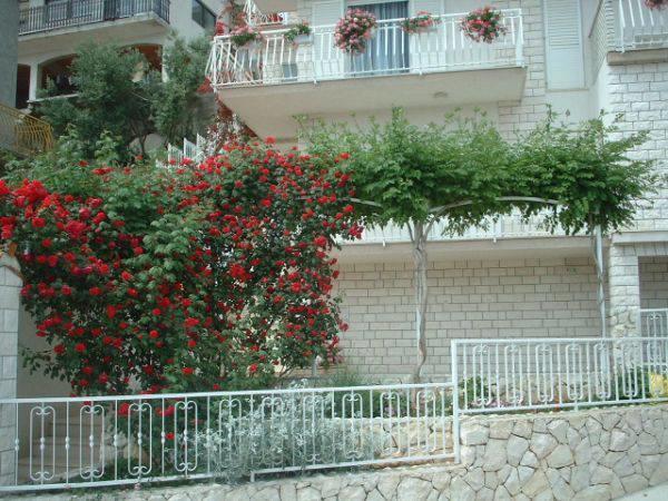 Lana Apartments Τρογκίρ Εξωτερικό φωτογραφία